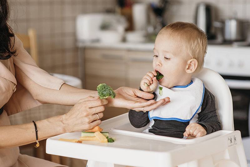 E se você pudesse recomeçar a introdução alimentar do seu filho? <br>Dicas para fazer diferente
